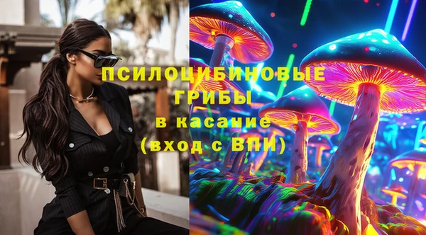 стаф Белокуриха