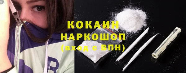 стаф Белокуриха