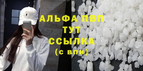 стаф Белокуриха