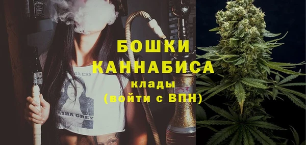 не бодяженный Иннополис