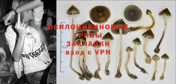 гидра Инсар