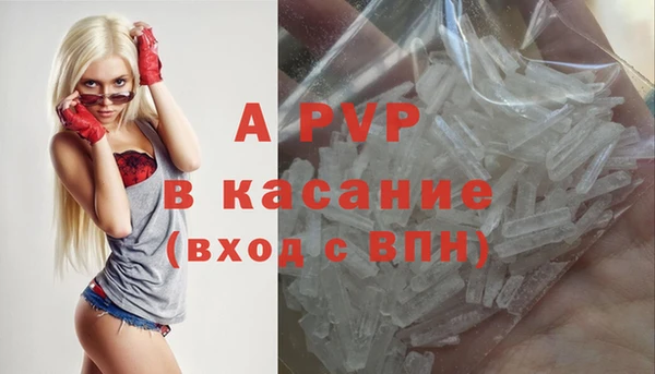стаф Белокуриха