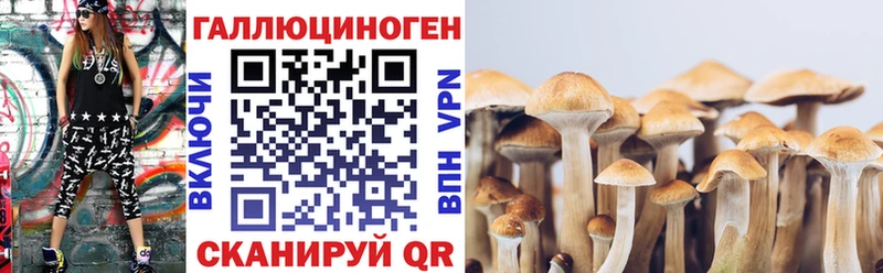 Псилоцибиновые грибы мицелий  площадка наркотические препараты  Мезень 